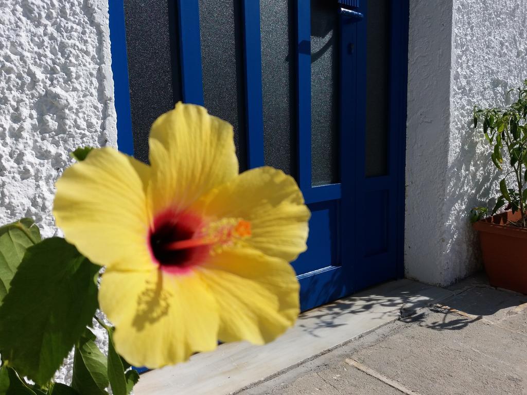 Constantinos Apartments ラッシ エクステリア 写真
