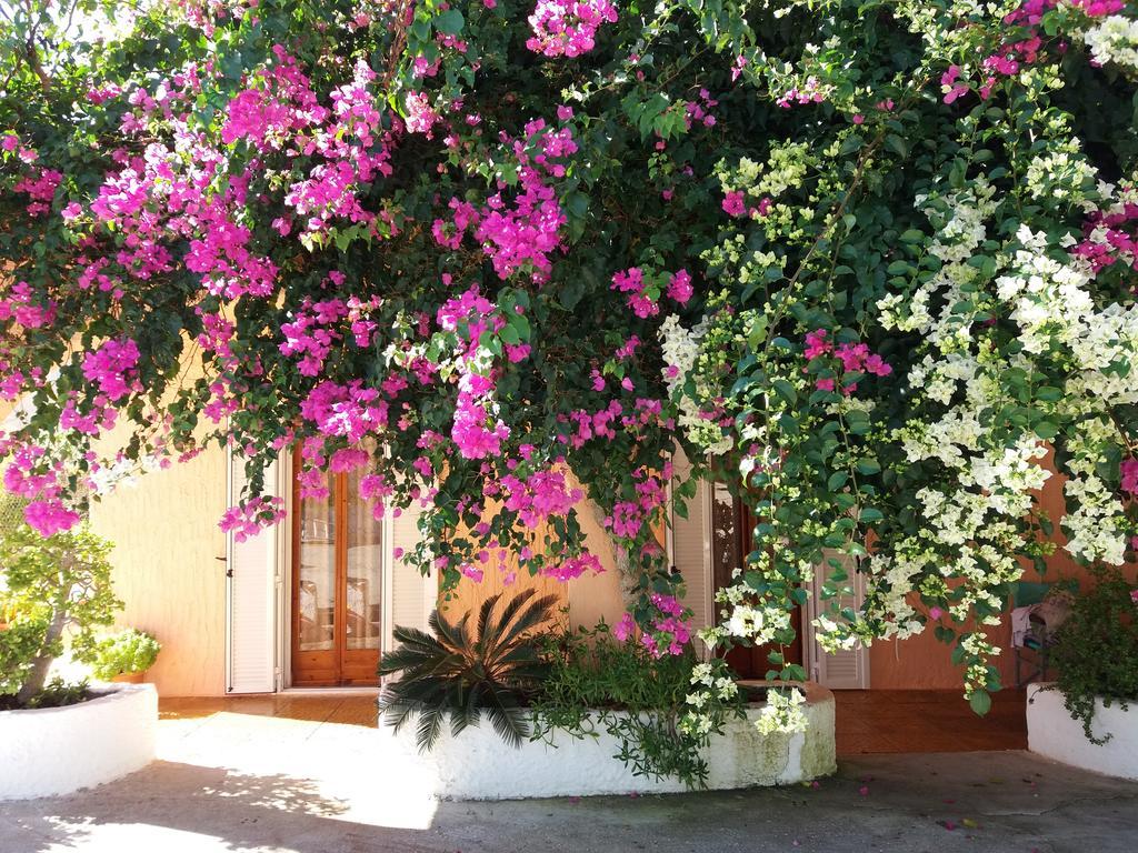Constantinos Apartments ラッシ エクステリア 写真