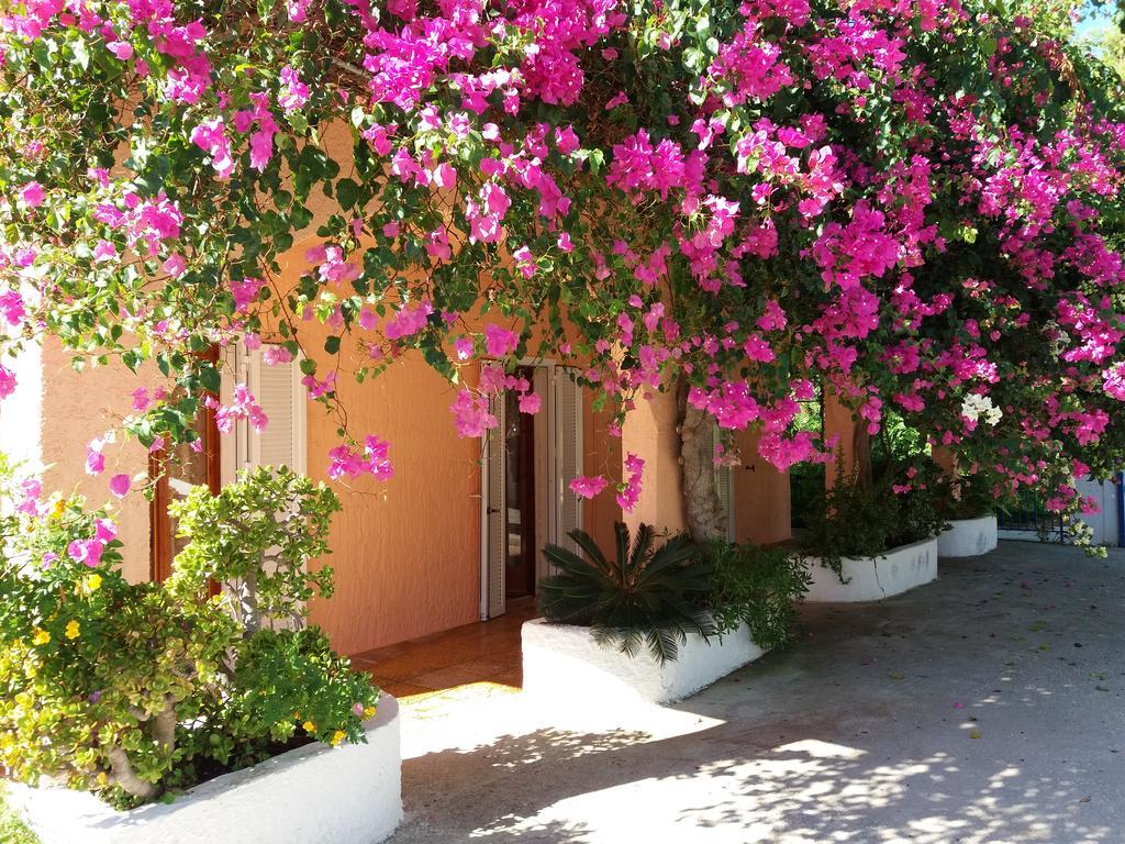Constantinos Apartments ラッシ エクステリア 写真